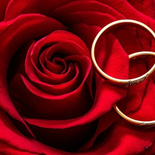 Heirat und Trauringe Eheschließung: ein Bund fürs Leben